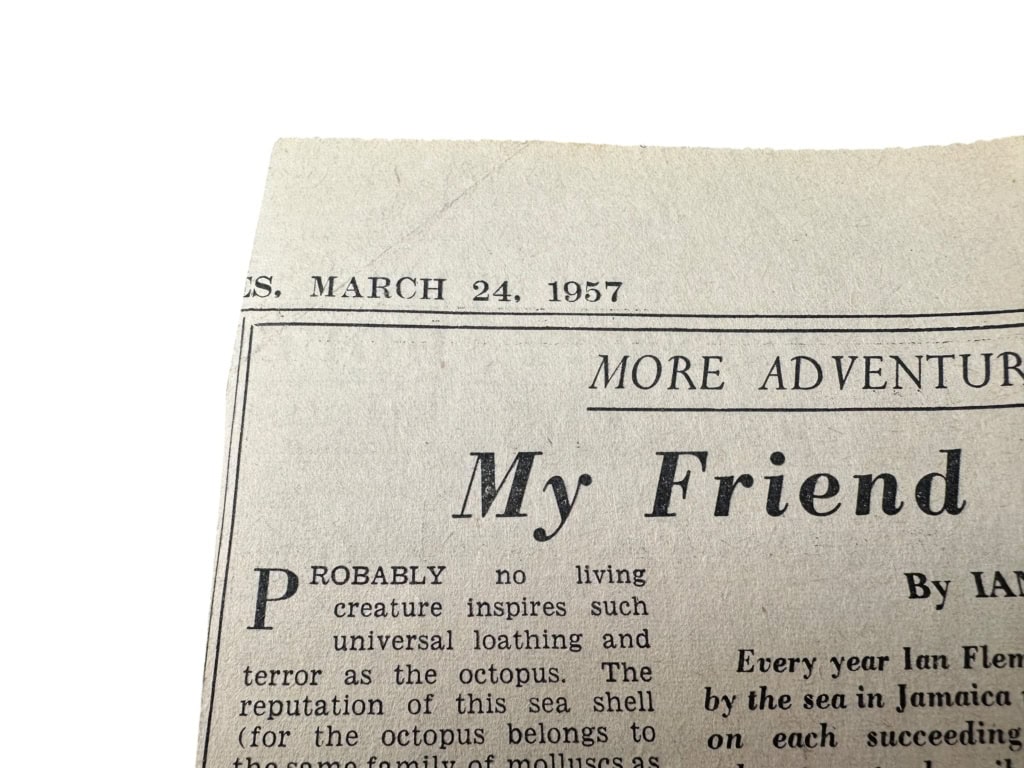 Photoroom 002 20251124 143906