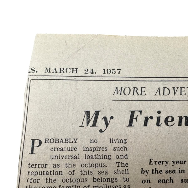 Photoroom 002 20251124 143906