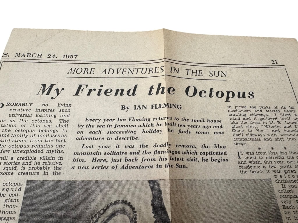 Photoroom 003 20251124 143906