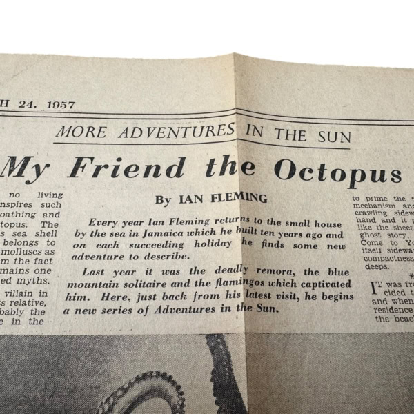 Photoroom 003 20251124 143906