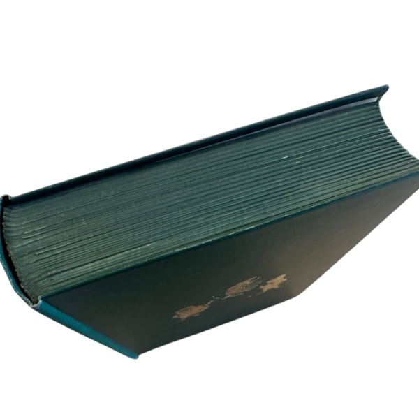 Photoroom 029 20251125 131952