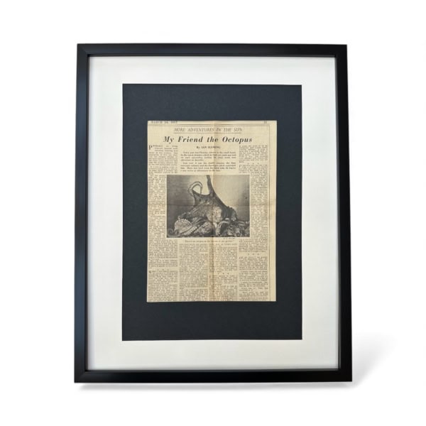 Ian Fleming - Octopus - Article - The Times