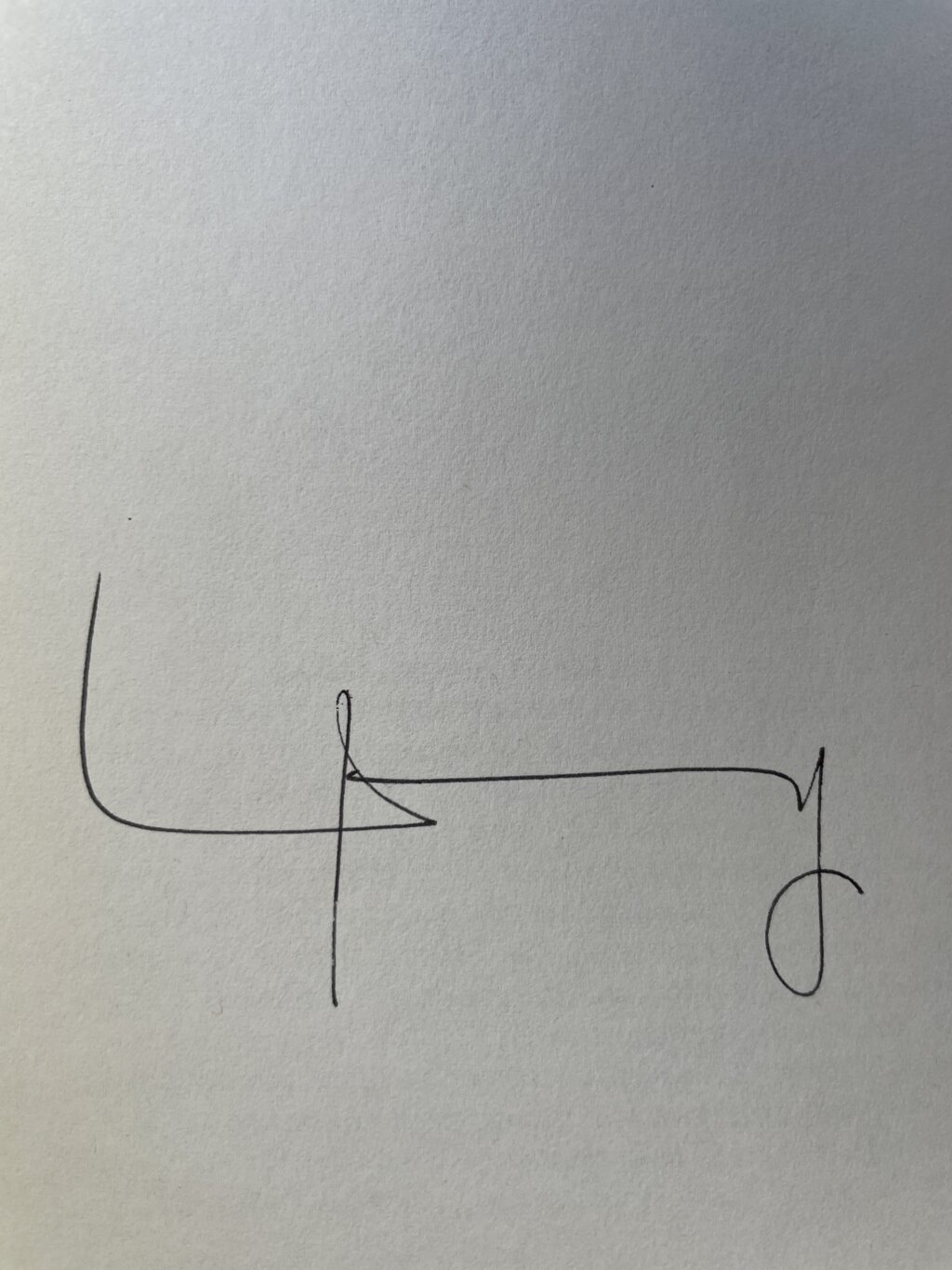 larry mcmurty terms of endearment signed first edition2