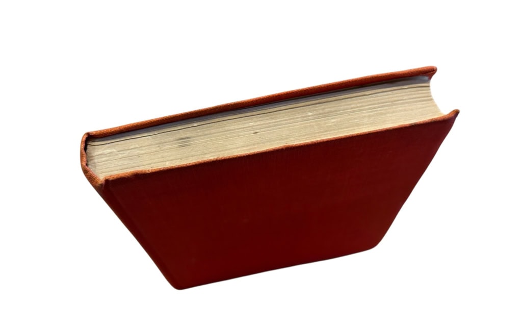 Photoroom 009 20251208 151348