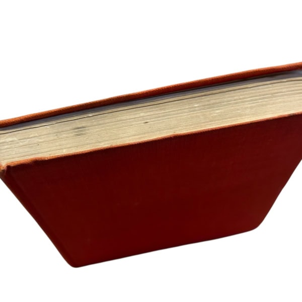 Photoroom 009 20251208 151348