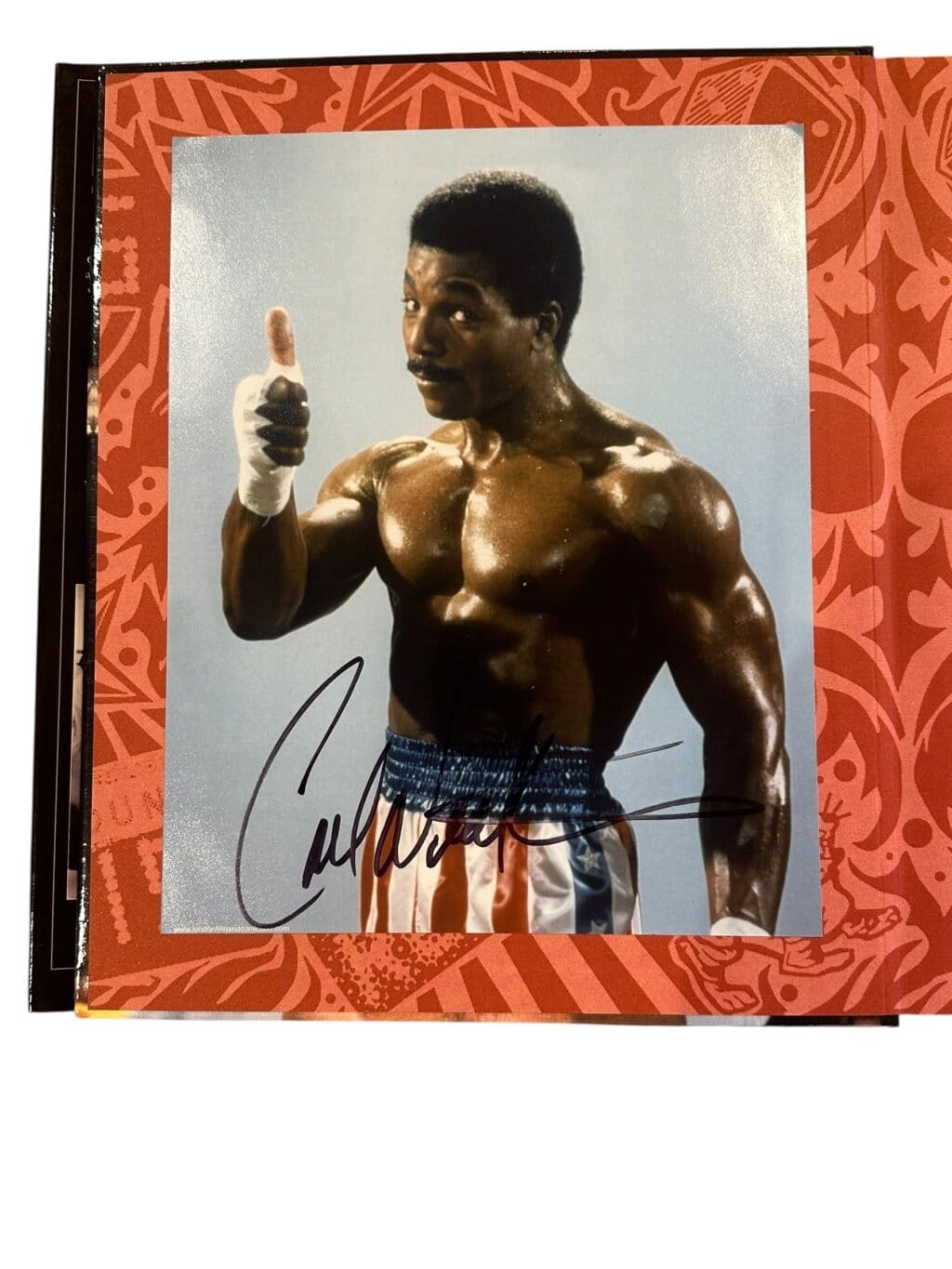 Photoroom 010 20251201 134419