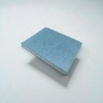 Dan Futterman - Capote - First Edition - Rare - Screenplay