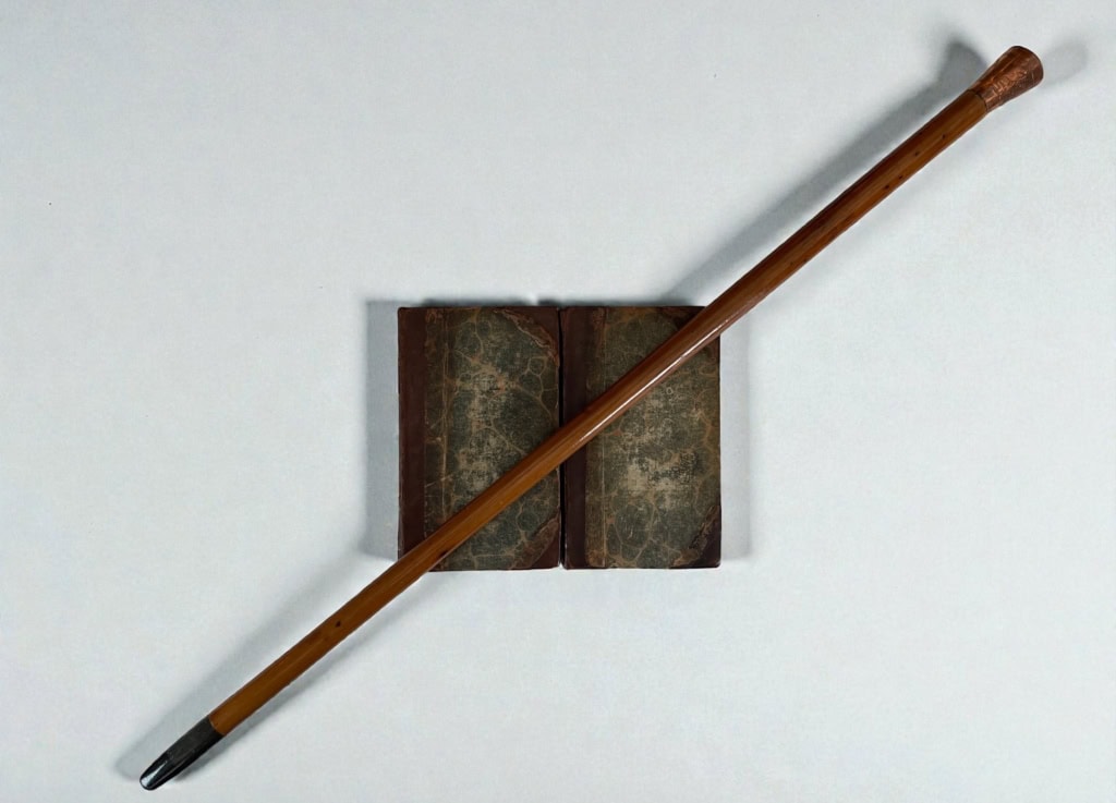 life of nelson with cane 1