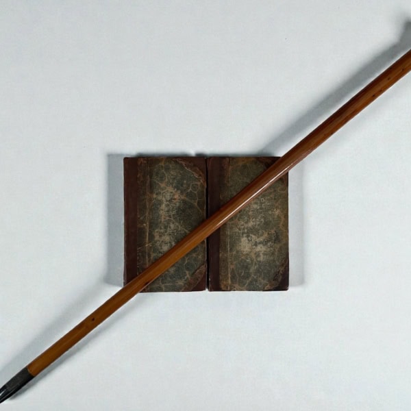 life of nelson with cane 1