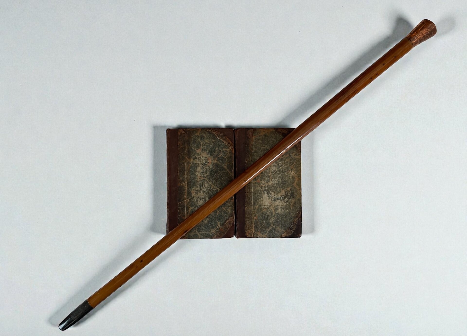 life of nelson with cane 1