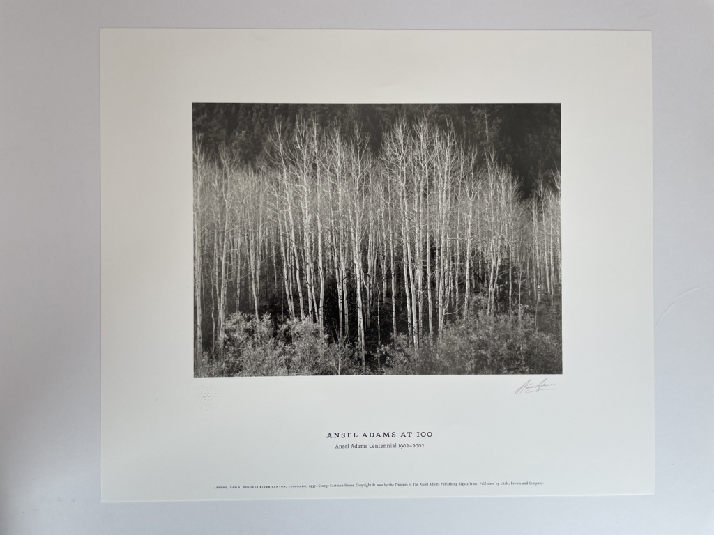 ansel adams at 100 first 6