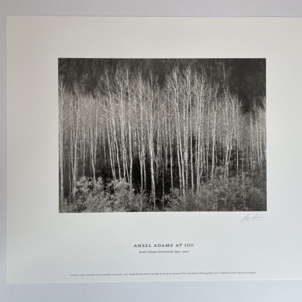 ansel adams at 100 first 6