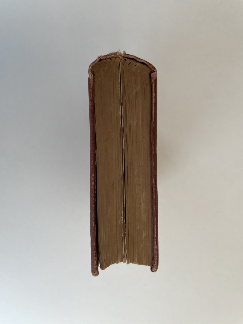 henry james a passionate pilgrim first edition5