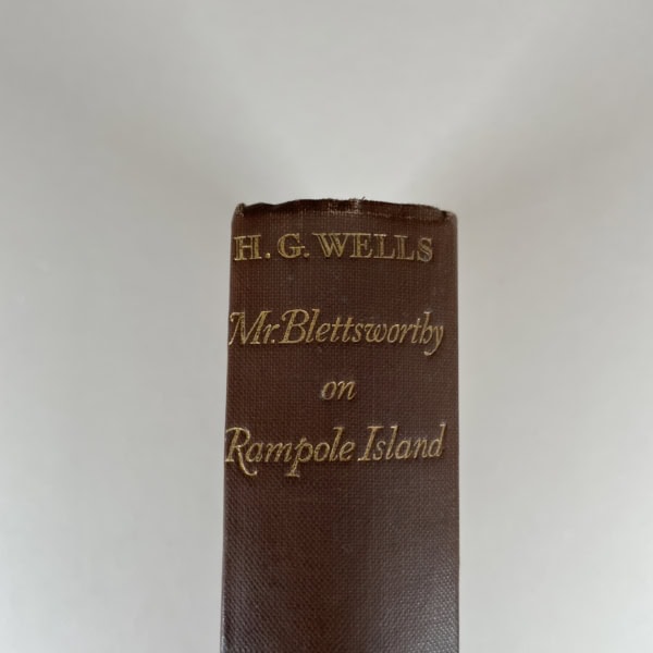 hg wells mr blettsworthy on rampole island first 2