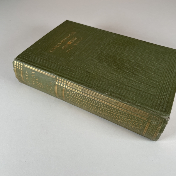 hg wells tono bungay first 3