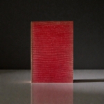 hg wells war and the future first 1