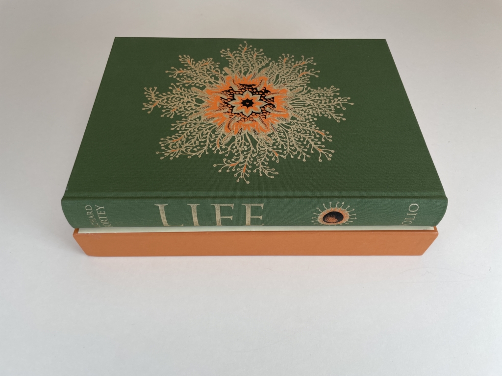 life folio4
