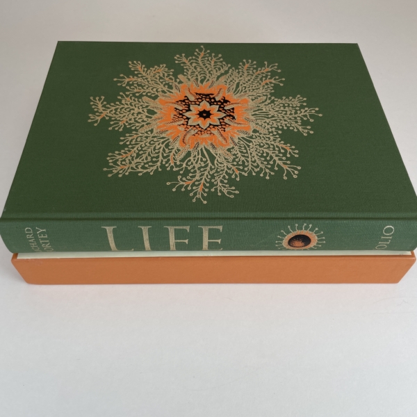 life folio4