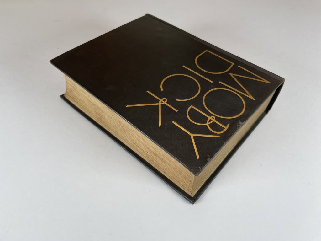 thomas melville moby dick first illustrated4