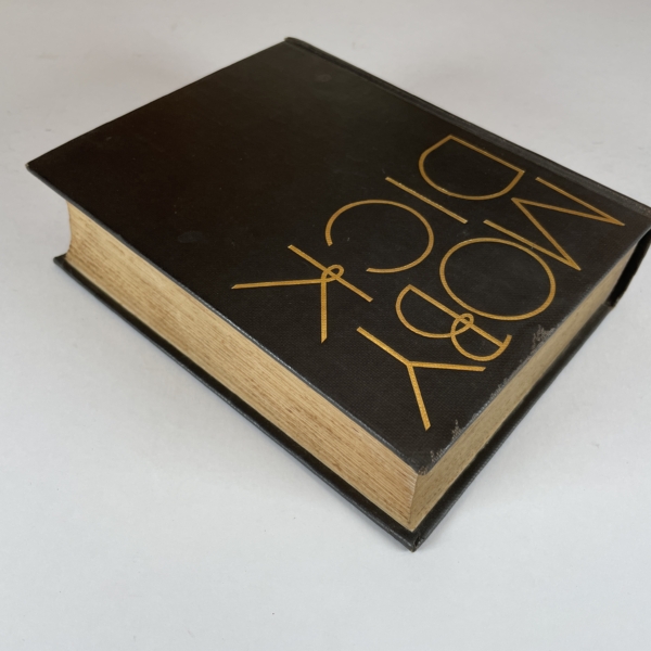 thomas melville moby dick first illustrated4