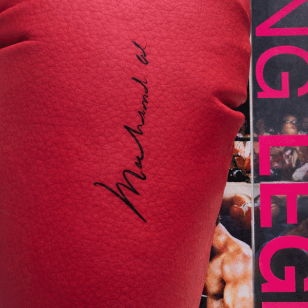 57D7E9A6 4B5A 4932 A8B3 EDCC10D38009