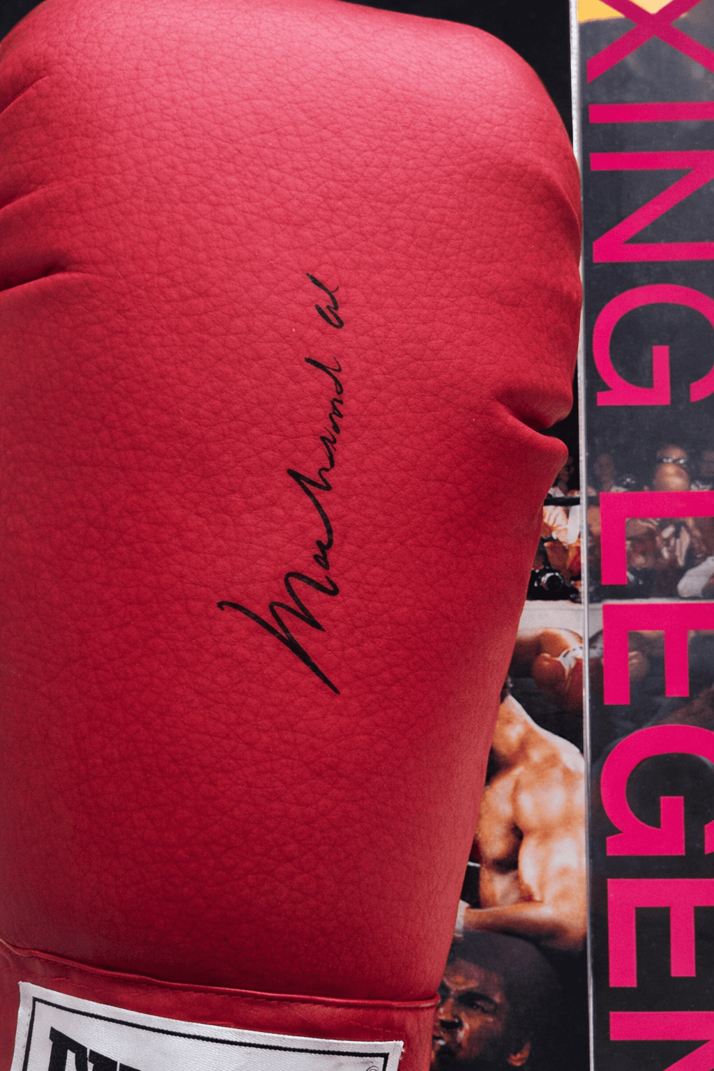 57D7E9A6 4B5A 4932 A8B3 EDCC10D38009