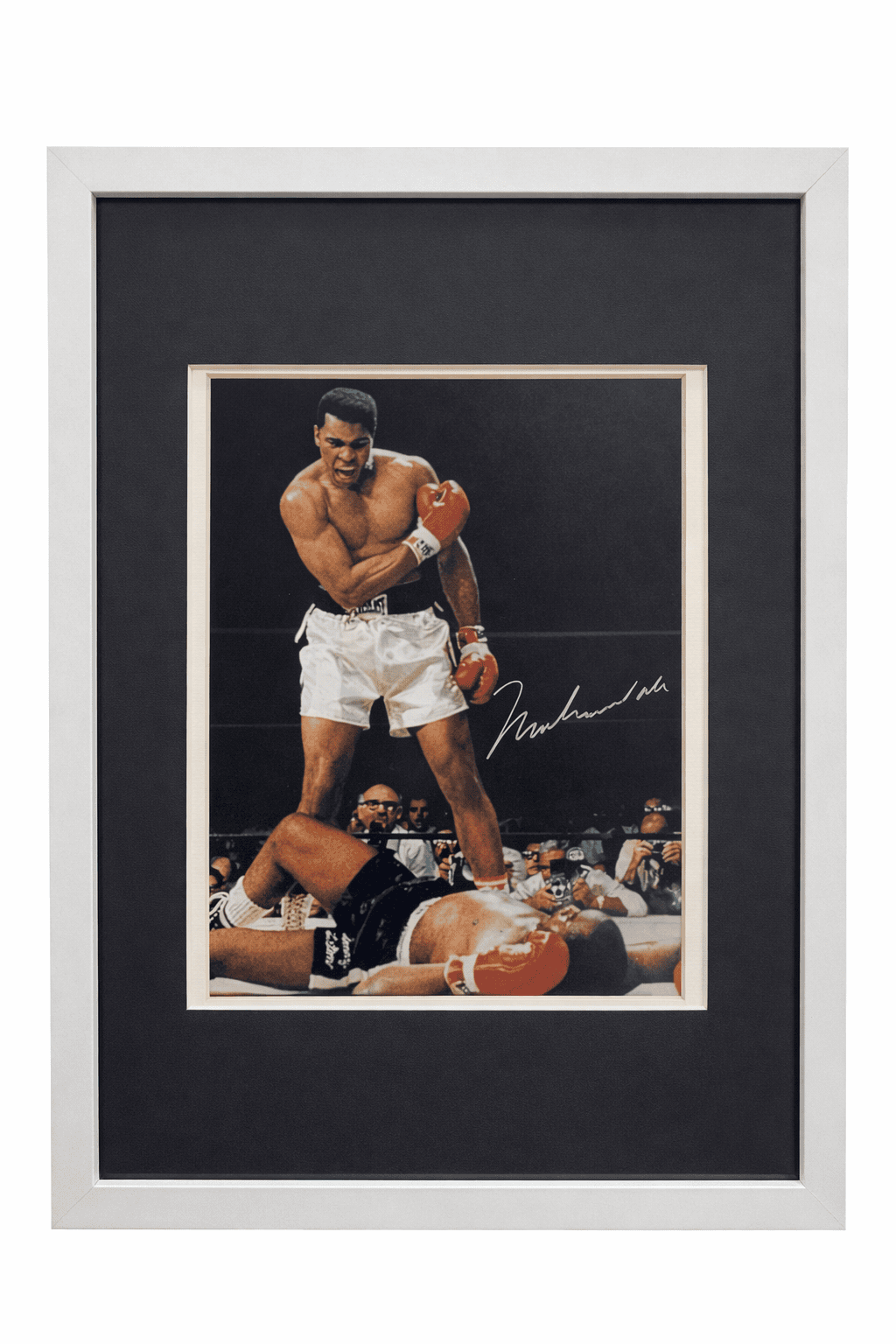 7181BCC6 9BA6 48C4 B186 34B363030BB7