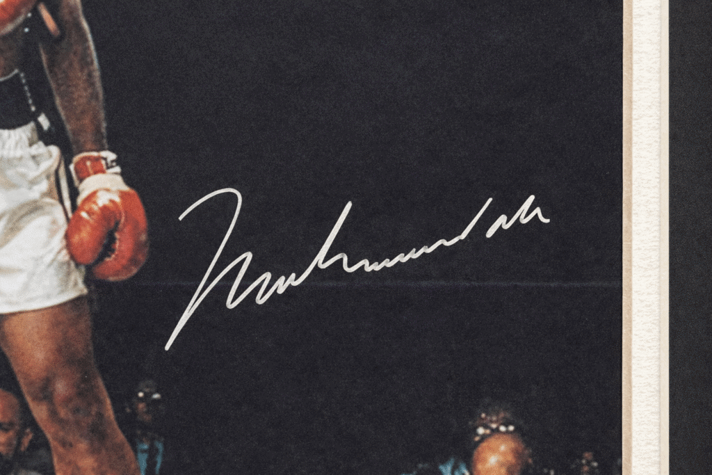 F566B77D 2D5C 46E0 8D37 0775893FCC6B