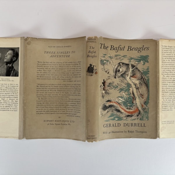 gerlad durrell the bafut beagles first edition4