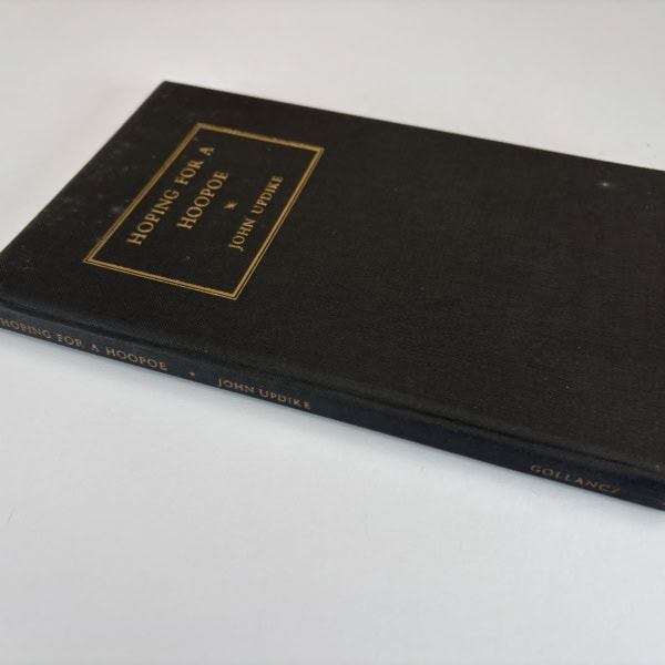 john updike hoping for a hoopoe first edition4