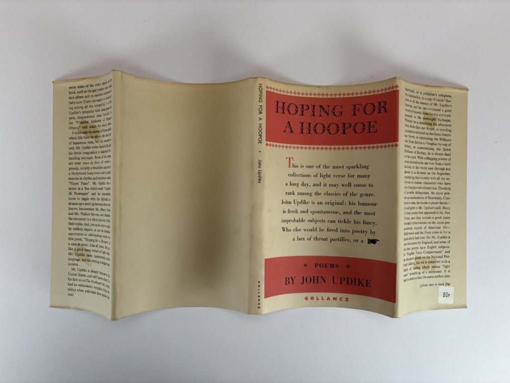 john updike hoping for a hoopoe first edition5