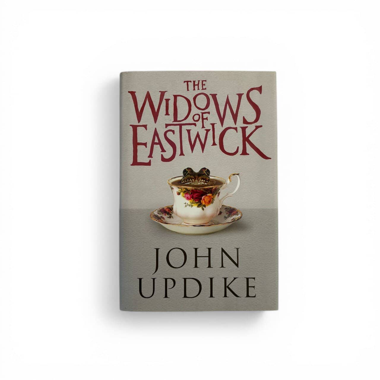 john updike the widows of eastwick firsr ed1