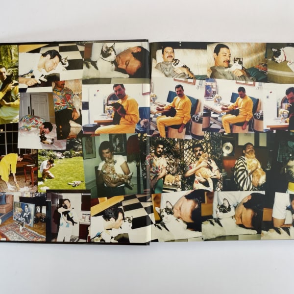 sothebys freddie mercury 2