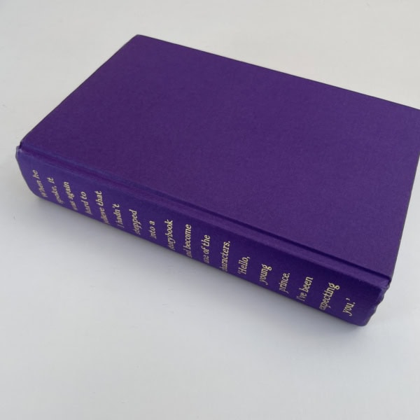 stephen king fairy tale collectors edition4