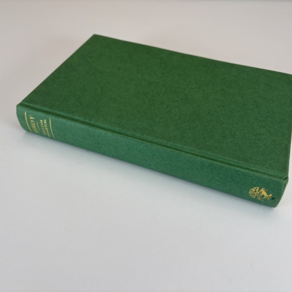 william wharton birdy first edition3