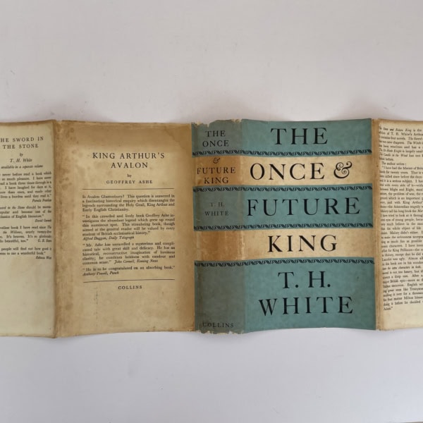 th white the once and future king first 4