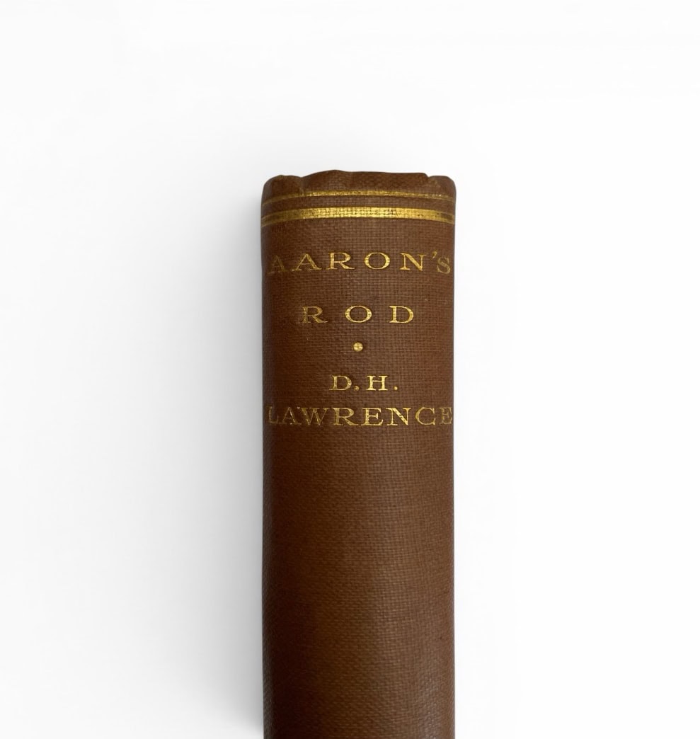 dh lawrence aarons rod first edition1 dh lawrence aarons rod first edition1