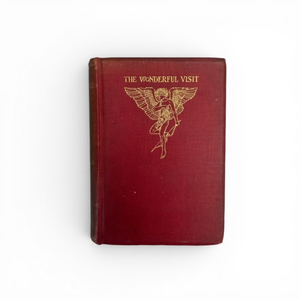 hg wells the wonderful visit first edition1