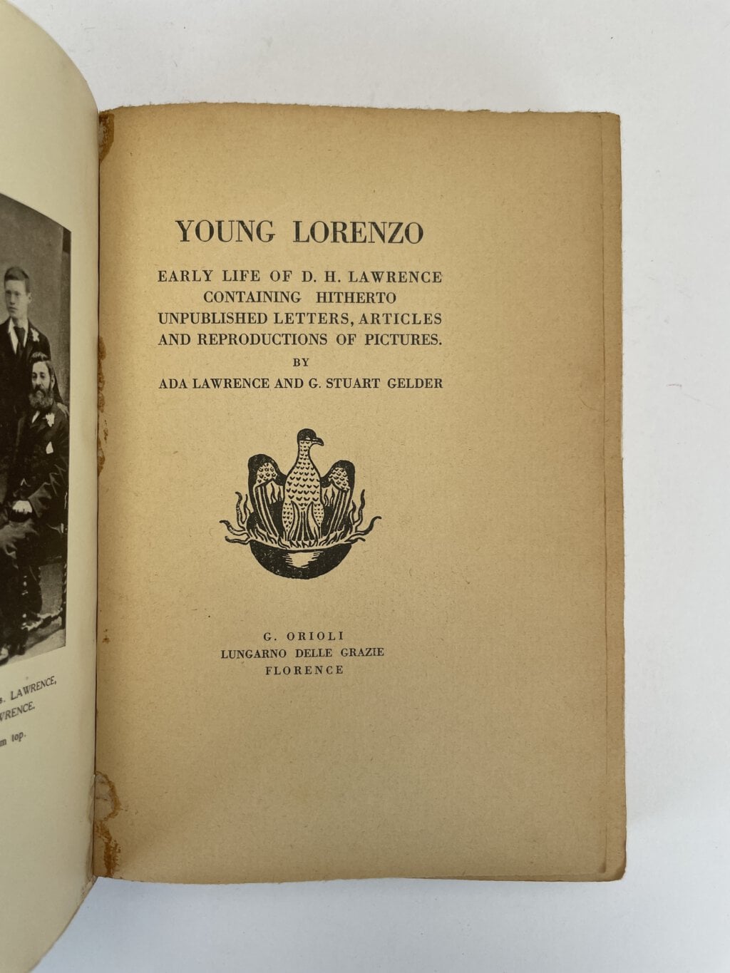 young lorenzo first edition2